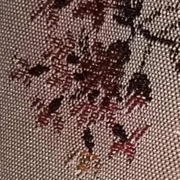 CACHE jacket - Picture 3 of 6